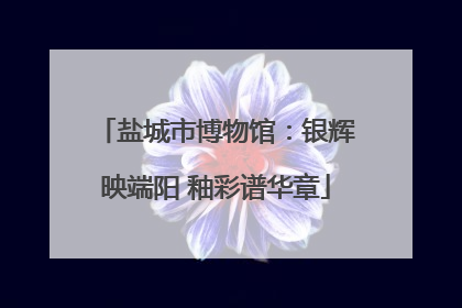 盐城市博物馆：银辉映端阳 釉彩谱华章