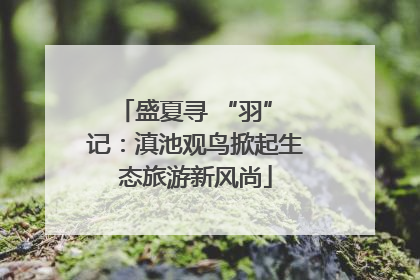 盛夏寻 “羽” 记：滇池观鸟掀起生态旅游新风尚