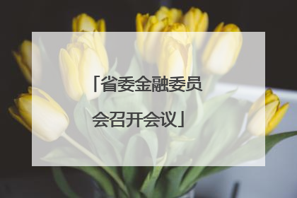 省委金融委员会召开会议