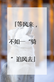 等风来，不如一“骑”追风去