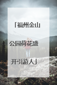 福州金山公园荷花盛开引游人