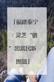 福建泰宁：灵芝“链”出富民新图景