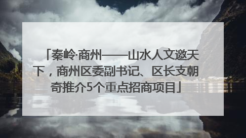 秦岭·商州——山水人文邀天下，商州区委副书记、区长支朝奇推介5个重点招商项目