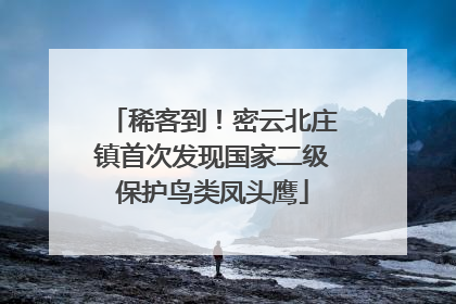 稀客到！密云北庄镇首次发现国家二级保护鸟类凤头鹰