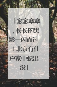 窸窸窣窣，长长的黑影一闪而过！北京有住户家中蛇出没
