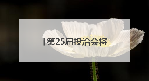 第25届投洽会将于9月在厦门举行，首设低空经济、人工智能产业专区