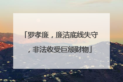 罗孝廉，廉洁底线失守，非法收受巨额财物