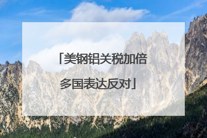 美钢铝关税加倍 多国表达反对