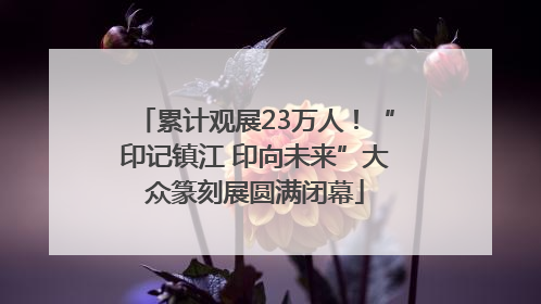 累计观展23万人！“印记镇江 印向未来”大众篆刻展圆满闭幕