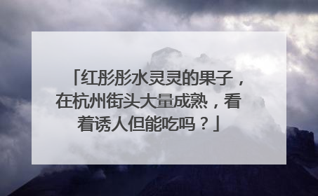 红彤彤水灵灵的果子，在杭州街头大量成熟，看着诱人但能吃吗？
