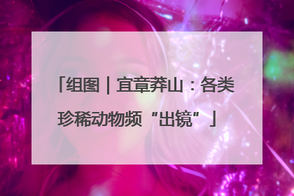 组图｜宜章莽山：各类珍稀动物频“出镜”