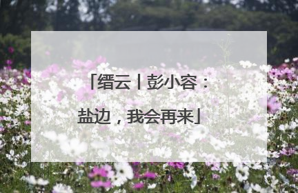 缙云丨彭小容：盐边，我会再来