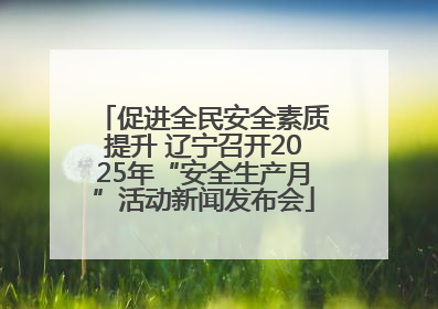 促进全民安全素质提升 辽宁召开2025年“安全生产月”活动新闻发布会