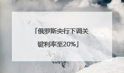 俄罗斯央行下调关键利率至20%