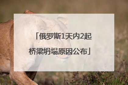 俄罗斯1天内2起桥梁坍塌原因公布
