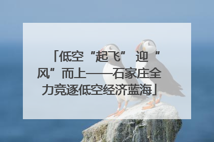 低空“起飞” 迎“风”而上——石家庄全力竞逐低空经济蓝海