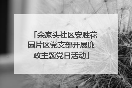 余家头社区安胜花园片区党支部开展廉政主题党日活动
