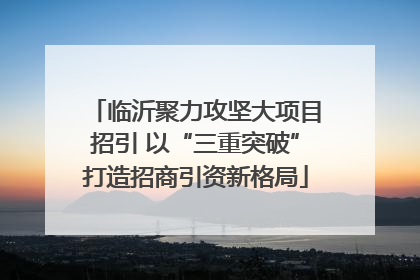 临沂聚力攻坚大项目招引 以“三重突破”打造招商引资新格局