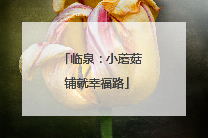 临泉：小蘑菇铺就幸福路
