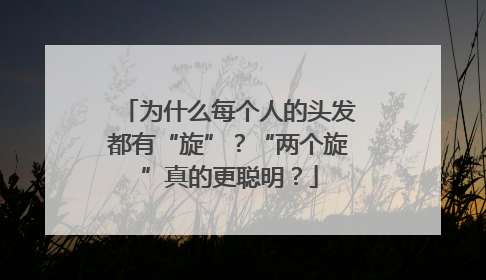 为什么每个人的头发都有“旋”？“两个旋”真的更聪明？