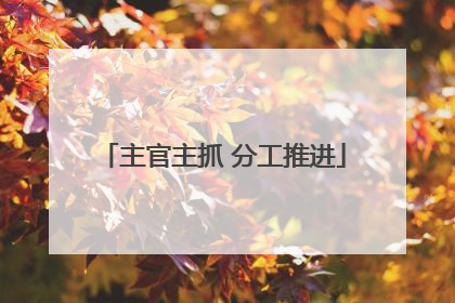 主官主抓 分工推进