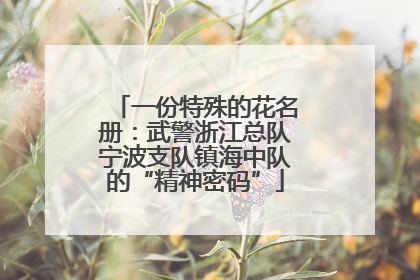 一份特殊的花名册：武警浙江总队宁波支队镇海中队的“精神密码”