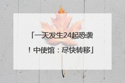 一天发生24起恐袭！中使馆：尽快转移