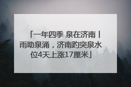 一年四季 泉在济南丨雨助泉涌，济南趵突泉水位4天上涨17厘米