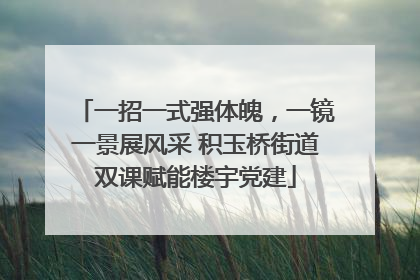 一招一式强体魄，一镜一景展风采 积玉桥街道双课赋能楼宇党建