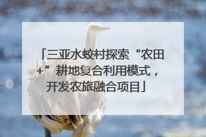 三亚水蛟村探索“农田+”耕地复合利用模式，开发农旅融合项目