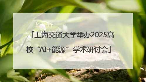 上海交通大学举办2025高校“AI+能源”学术研讨会
