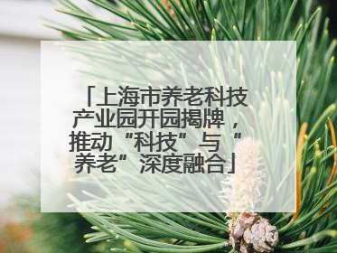 上海市养老科技产业园开园揭牌，推动“科技”与“养老”深度融合