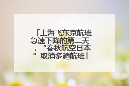 上海飞东京航班急速下降的第二天，“春秋航空日本”取消多趟航班
