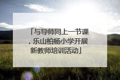 与导师同上一节课，乐山柏杨小学开展新教师培训活动