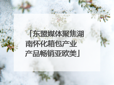 东盟媒体聚焦湖南怀化箱包产业 产品畅销亚欧美