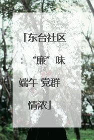 东台社区：“廉”味端午 党群情浓