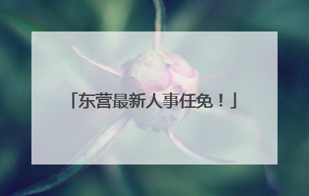 东营最新人事任免！
