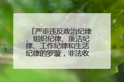 严重违反政治纪律、组织纪律、廉洁纪律、工作纪律和生活纪律的罗璇，非法收受他人巨额财物