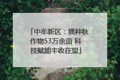 中牟新区：播种秋作物53万余亩 科技赋能丰收在望