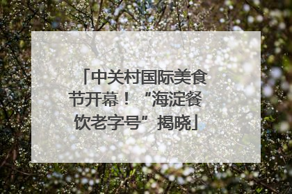 中关村国际美食节开幕！“海淀餐饮老字号”揭晓