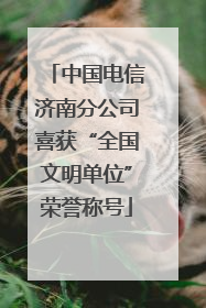 中国电信济南分公司喜获“全国文明单位”荣誉称号