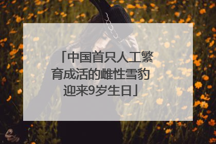 中国首只人工繁育成活的雌性雪豹迎来9岁生日