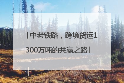 中老铁路，跨境货运1300万吨的共赢之路