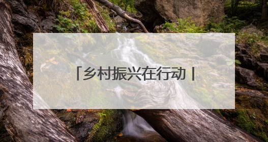 乡村振兴在行动丨从“土坷垃”到“金疙瘩” 卢龙甘薯串起富民产业链