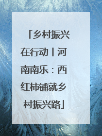 乡村振兴在行动丨河南南乐：西红柿铺就乡村振兴路