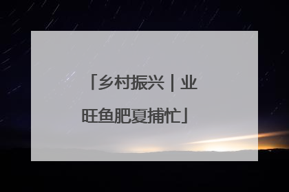 乡村振兴｜业旺鱼肥夏捕忙