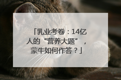 乳业考卷：14亿人的“营养大题”，蒙牛如何作答？