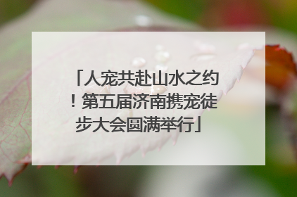 人宠共赴山水之约！第五届济南携宠徒步大会圆满举行