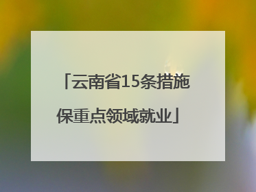 云南省15条措施保重点领域就业