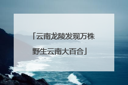云南龙陵发现万株野生云南大百合